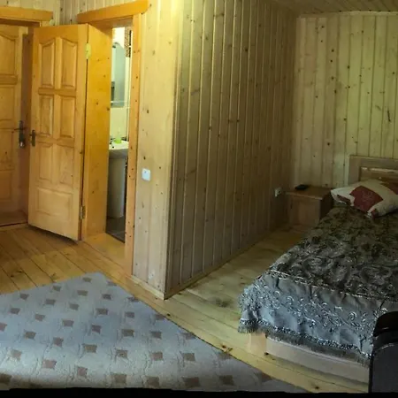 Hotell Сонячні Карпати *